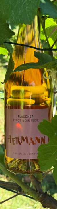 Pinot Noir